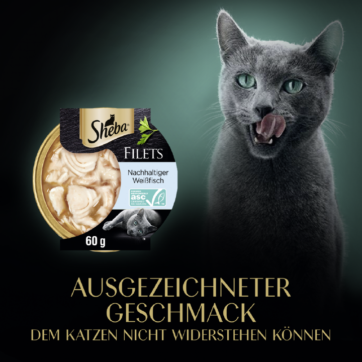 Sheba Katzen-Nassfutter Filets mit Weißfisch